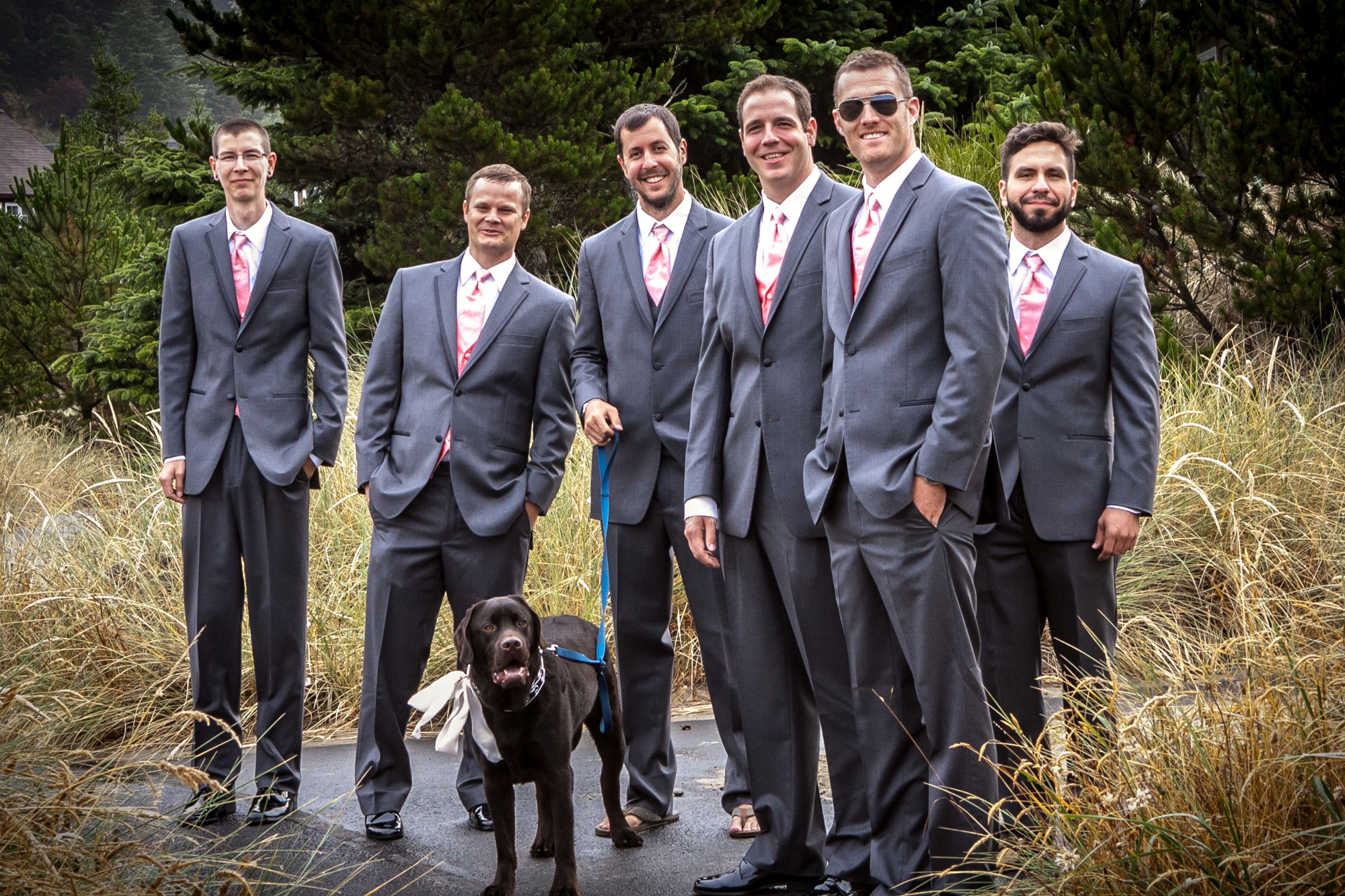 Five Groomsmen in Grey Suits With a Chocolate Labrador Retriever, Posing Outdoors at a Wedding